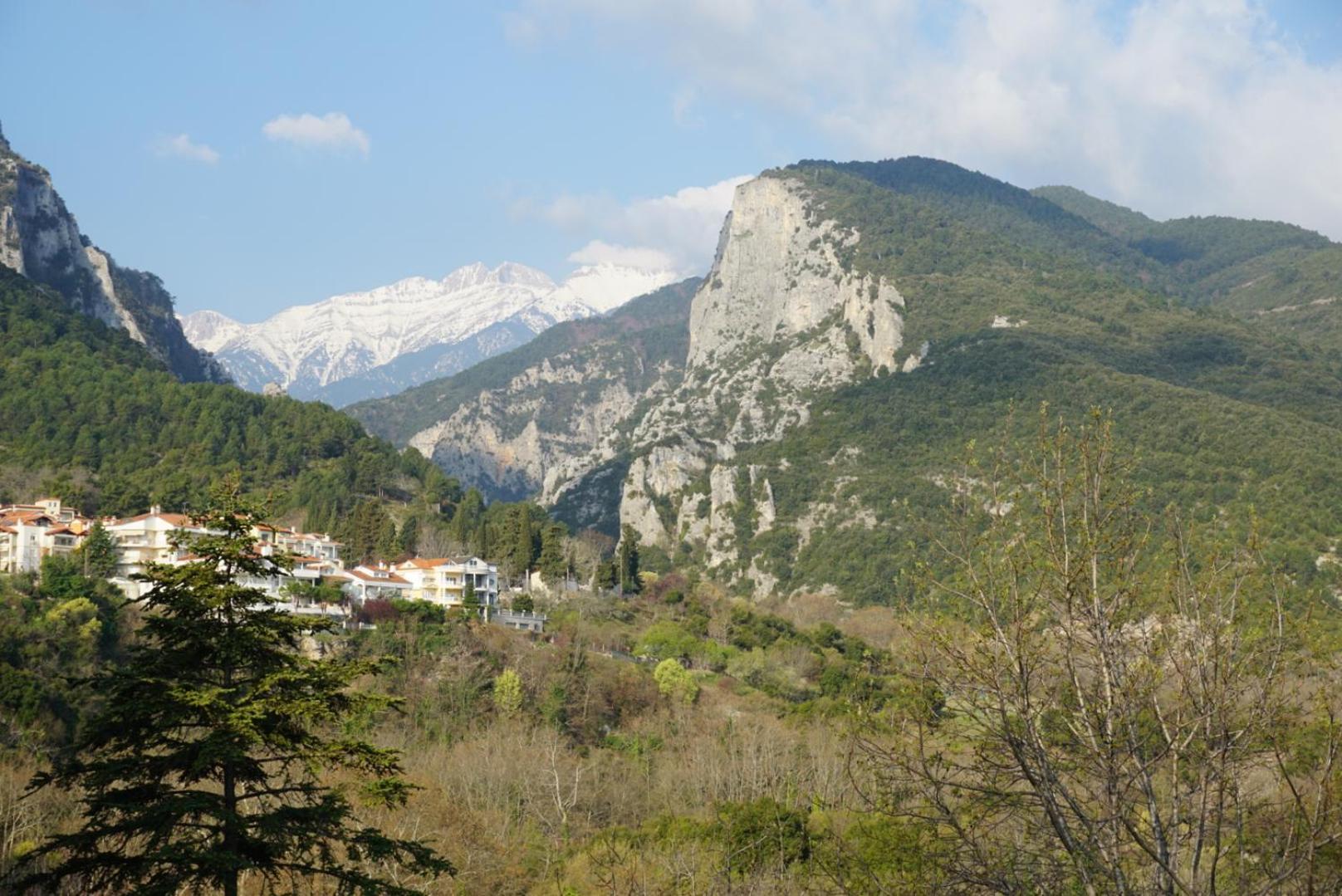 Ενοικιαζόμενα Δωμάτια Ενιπεύς- Rooms Enipeas Litóchoron Buitenkant foto